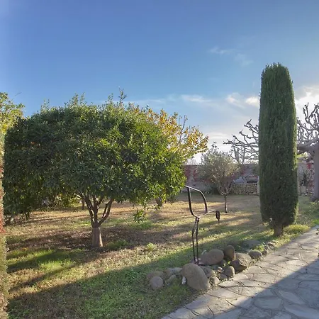 Maraninca * Lucciana
